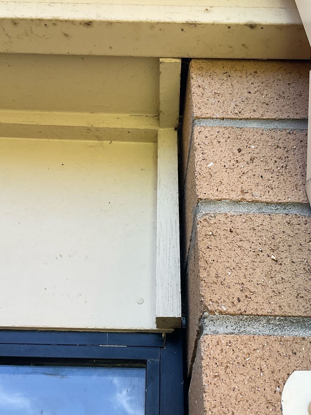 Termites and pest risk, Truganina