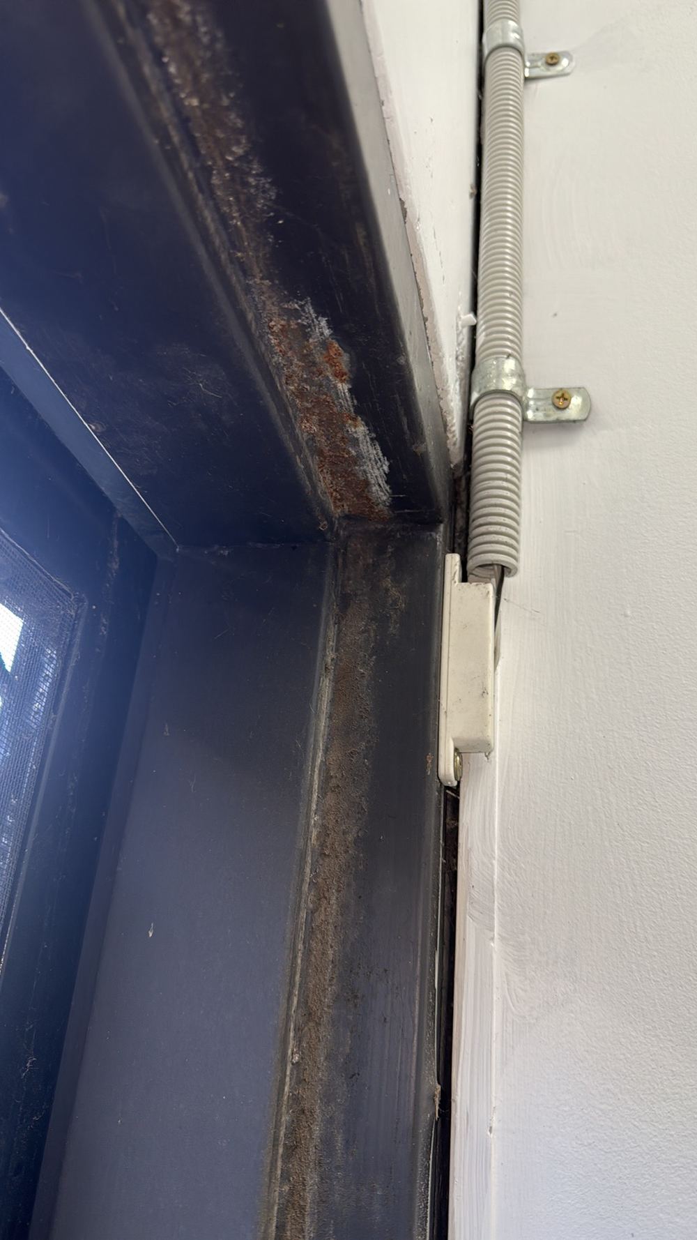 Rust on external window and door frames that needs treating, found during a building and pest inspection in Deer Park