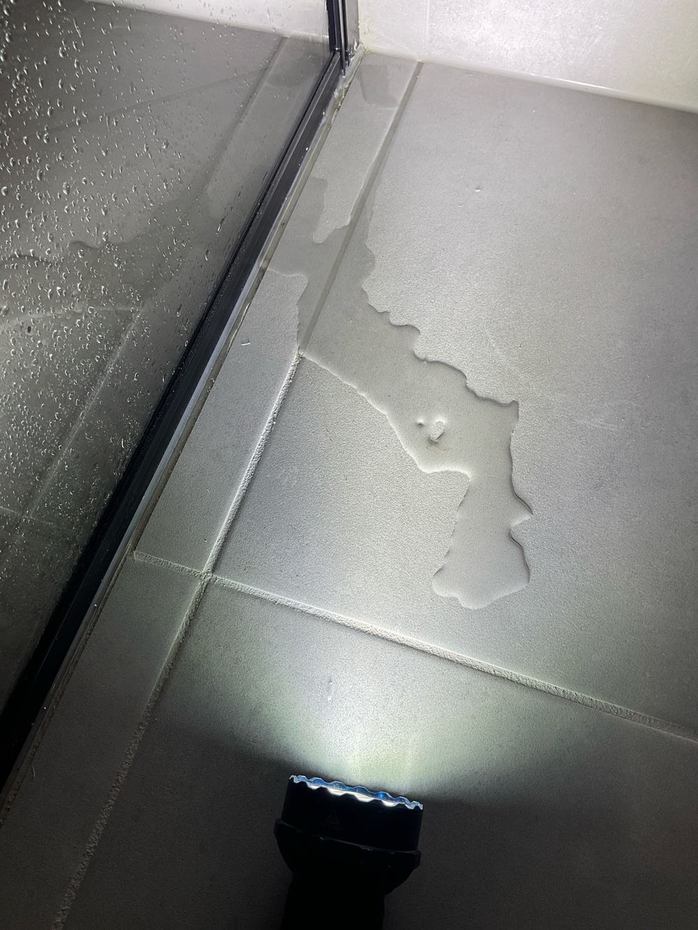 Shower enclosure leaking water during the handover inspection, Truganina