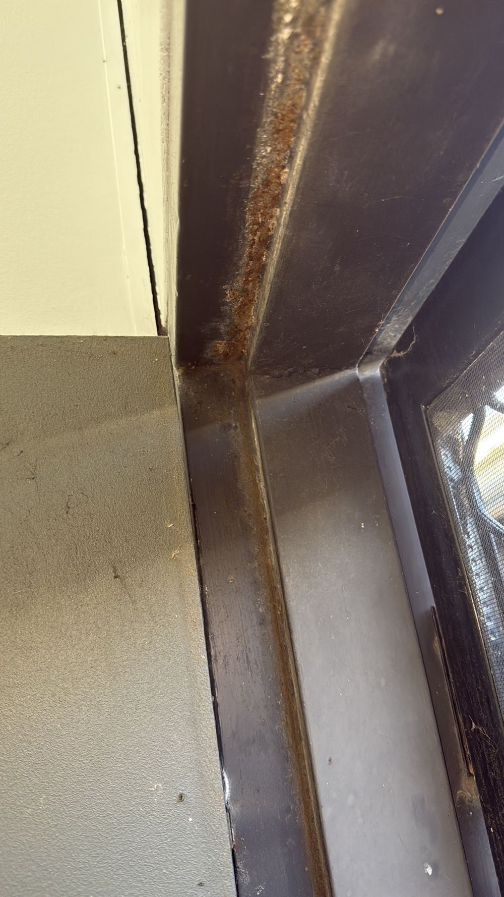 Rust on an external door frame that needs treating and repainting, found during a pre-purchase inspection in Deer Park